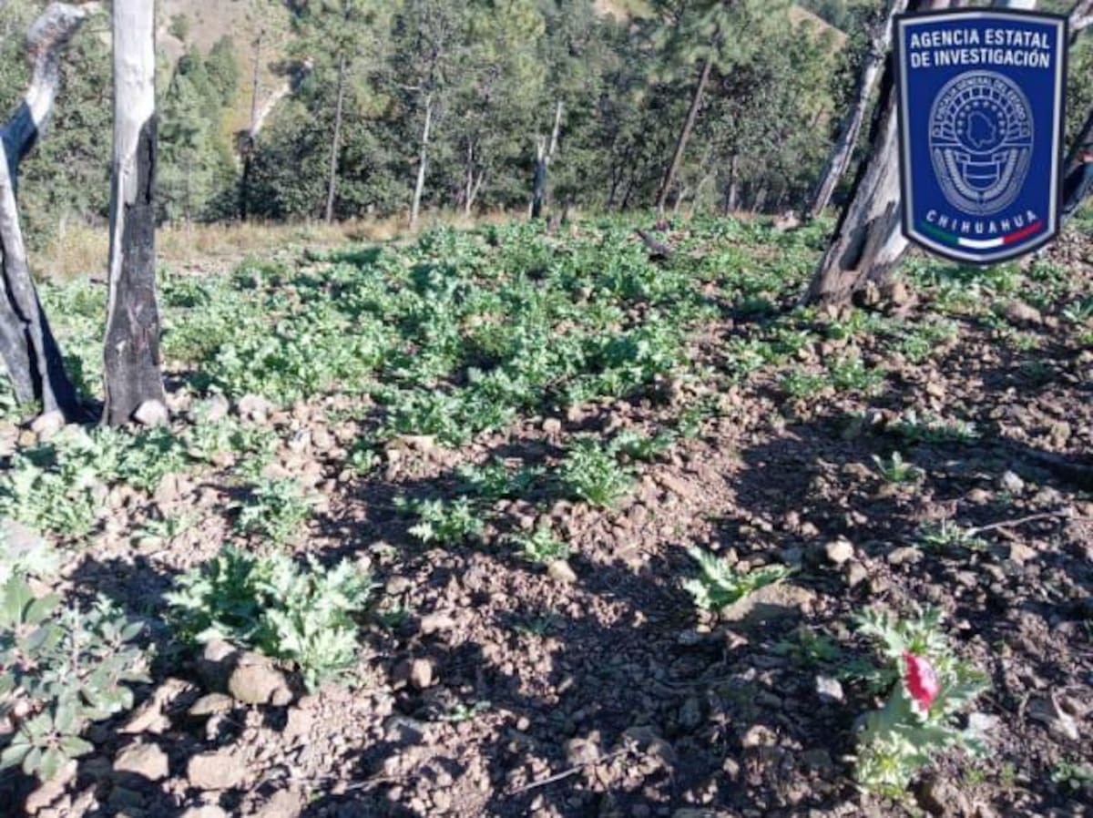 Foto: Fiscalía Chihuahua.