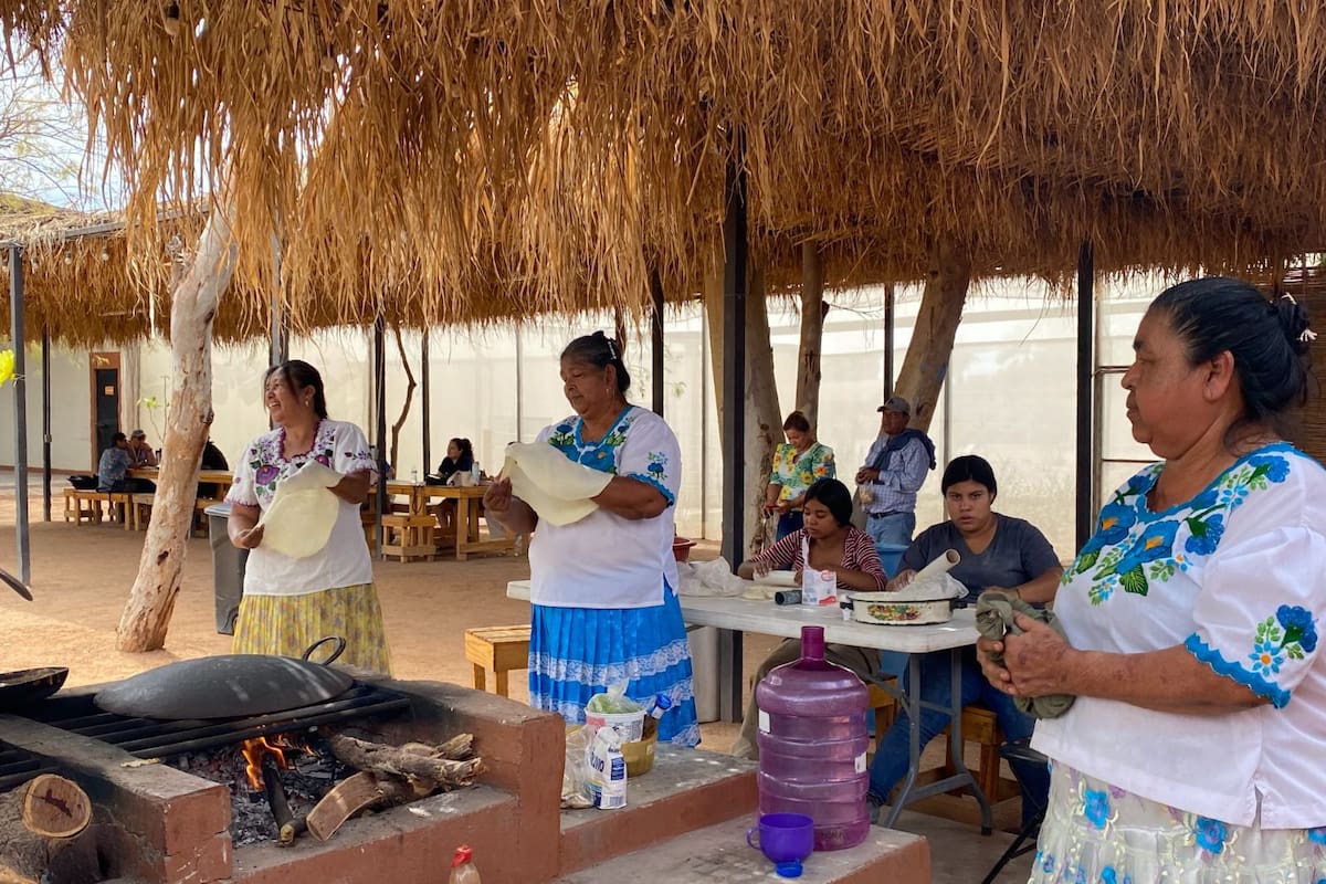 Evento de Cultura Viva Yaqui se llevará a cabo en Yo´o Joara este 25 de mayo