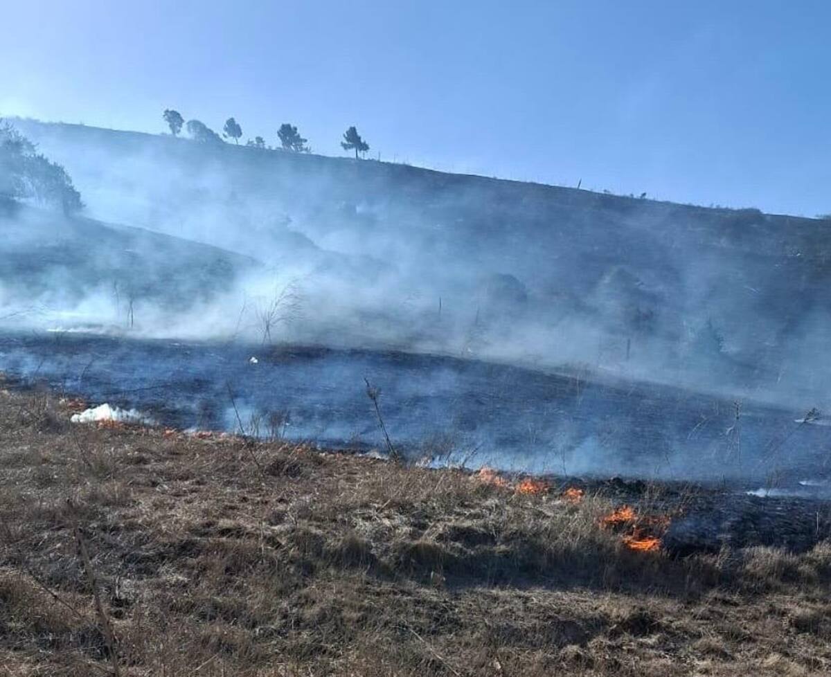 Se reportaron en total cuatro incendios forestales en Rosarito.