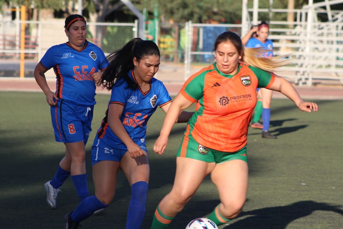 Scorpions se mete a las semifinales de la LUFF