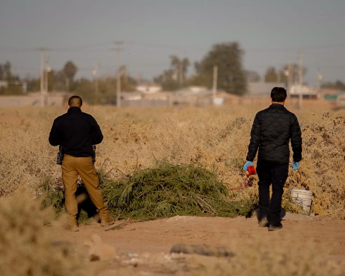 Foto: Javier Gallegos