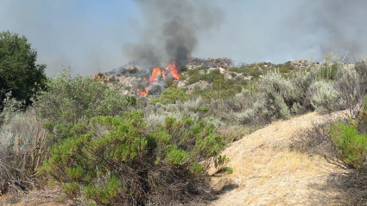 Incendio en Real del Castillo consume 200 hectáreas