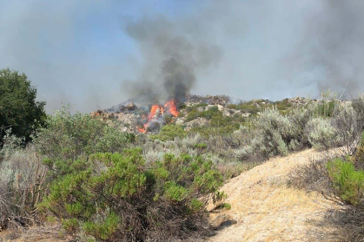 Incendio en Real del Castillo consume 200 hectáreas