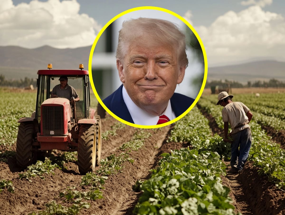 En California, el ICE ha llevado a cabo redadas en campos agrícolas para detener a 255 mil 700 trabajadores indocumentados, en línea con la política migratoria de la administración Trump. (BANCO DIGITAL GH)