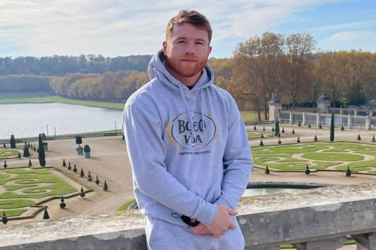 'Canelo' Álvarez muestra su nuevo gato persa de casi 20 mil pesos