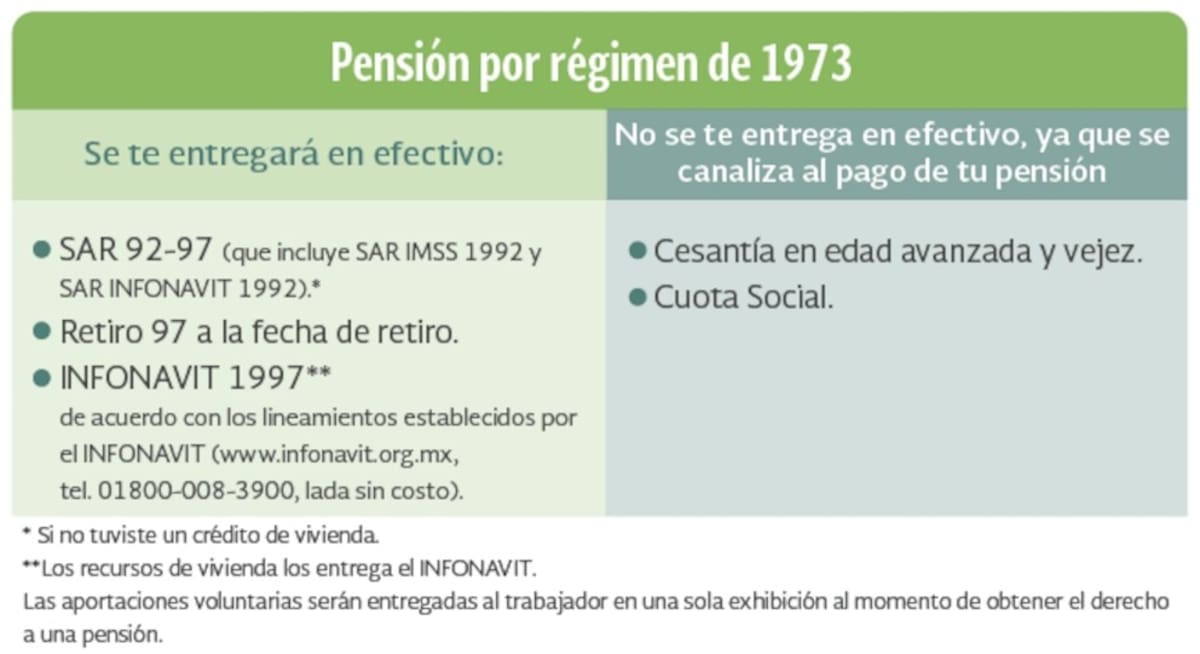 Cesantía o vejez: así será la jubilación bajo la Ley 73 en 2025. | Especial