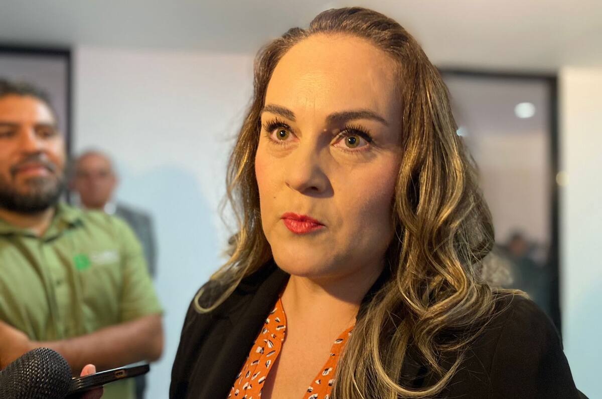 Diana Lorena Vázquez Arana, directora ejecutiva en el Directorio de Instructores y Capacitación Especializada de México (Dircap).