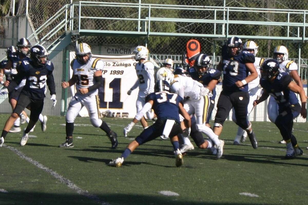 Propone OEFA temporada primavera 2021 de banderas