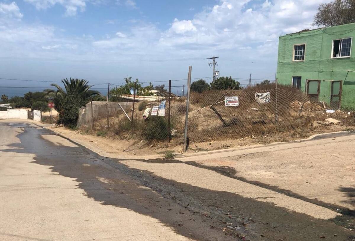 foto: Carmen Gutiérrez