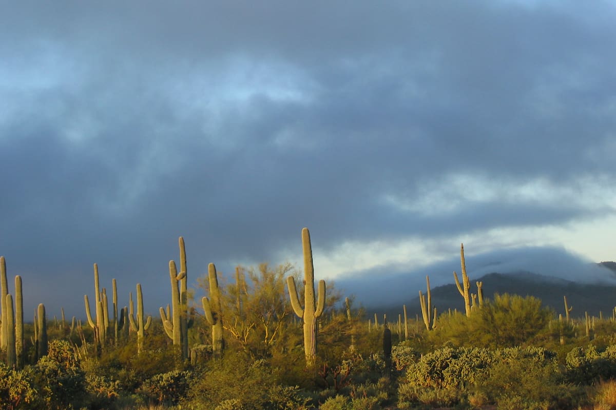 Sonora reduce 89.3% los municipios con sequía en un año: sólo seis siguen afectados y desaparecen los niveles extremo y excepcional
