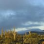 Sonora reduce 89.3% los municipios con sequía en un año: sólo seis siguen afectados y desaparecen los niveles extremo y excepcional