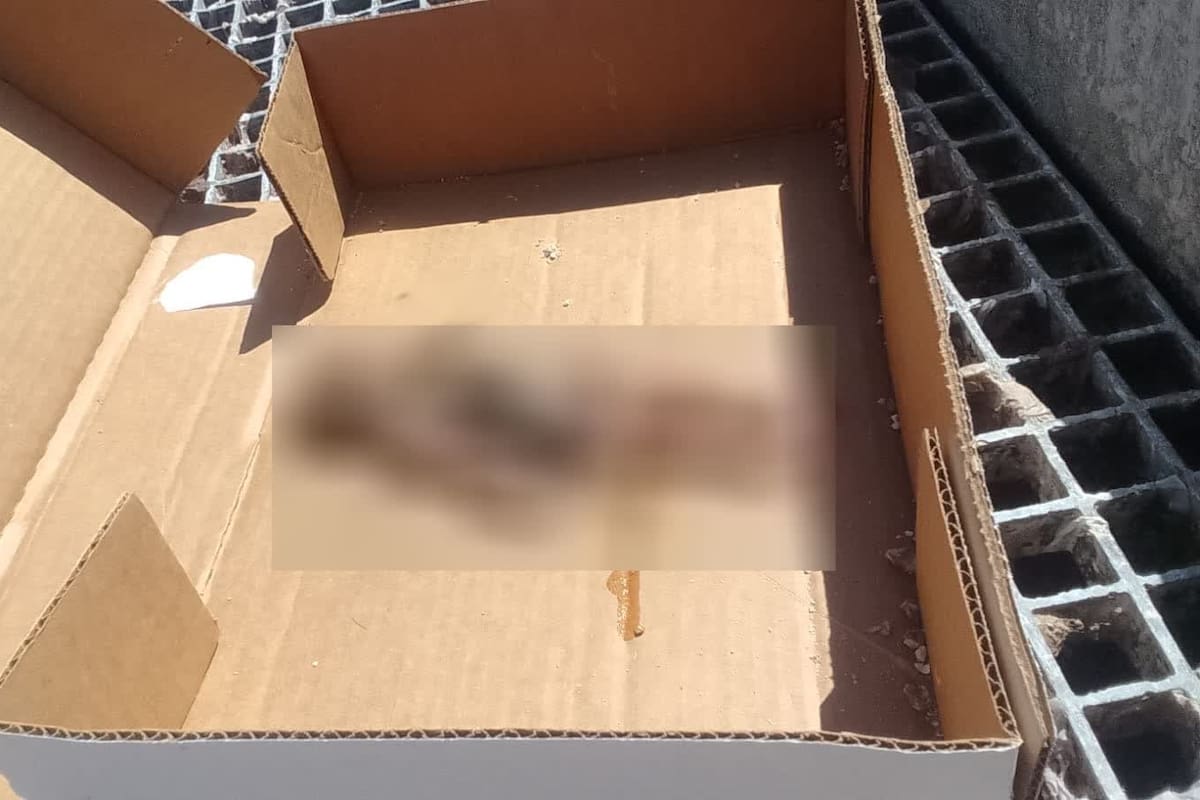 Hallan feto cerca de empresa agrícola de San Quintín