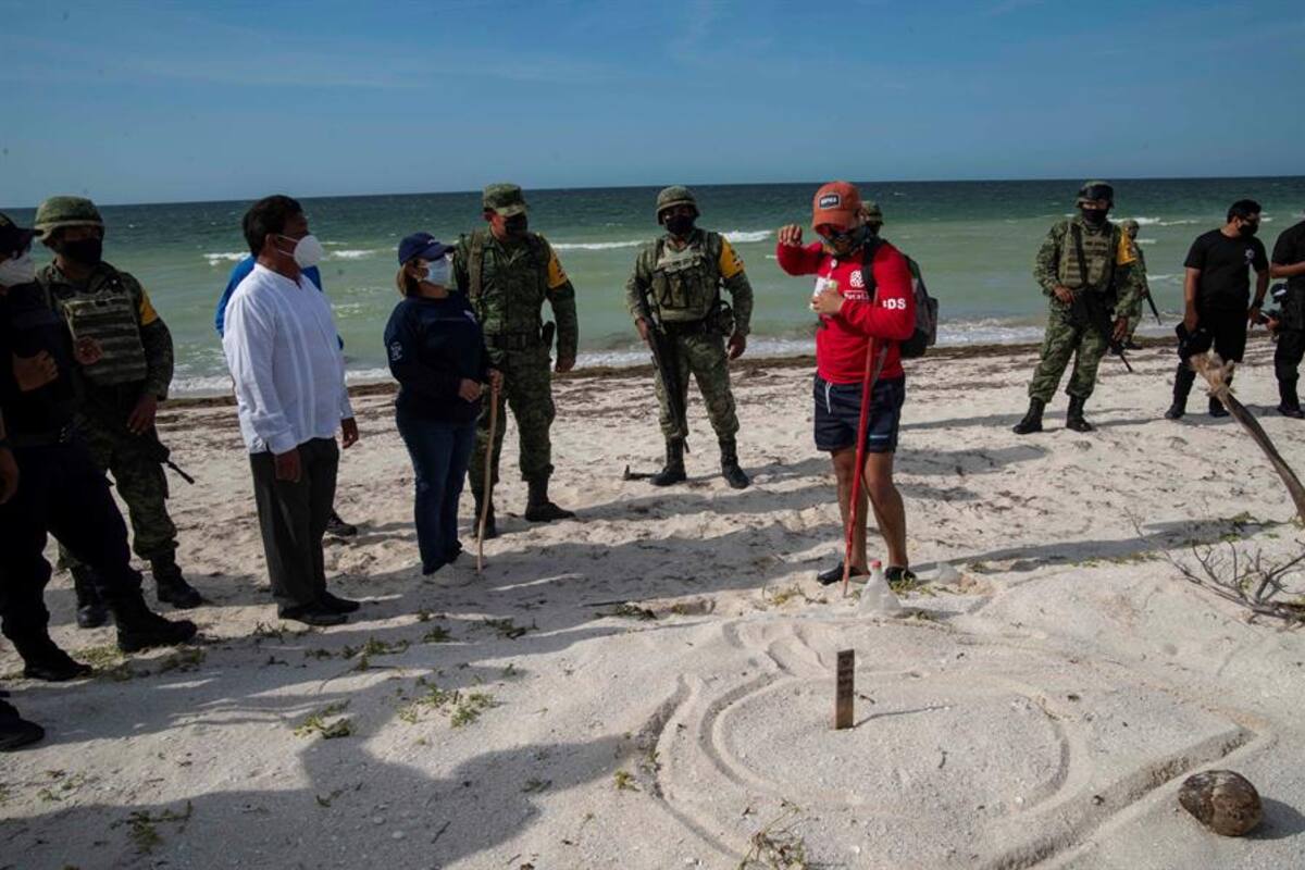 Elementos del Ejército de México protegen nidos de tortugas marinas en Yucatán