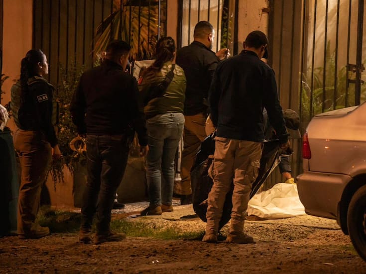 Rescatan a siete perros tras cateo en Villa del Sol; uno fue hallado sin vida