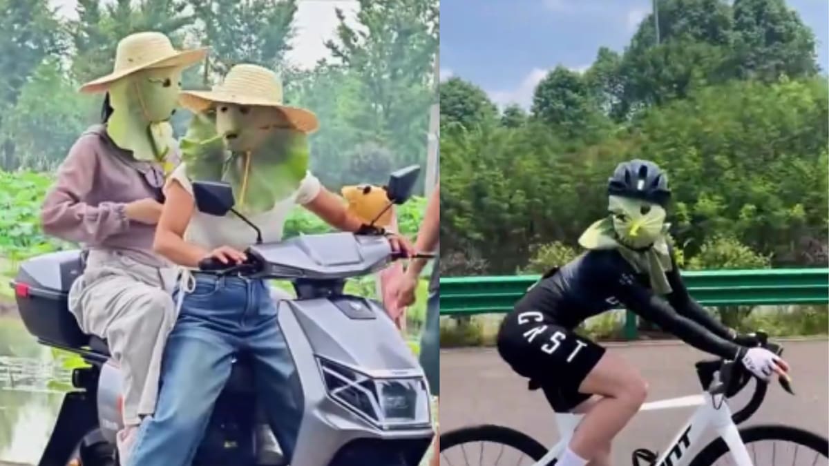 La tendencia de usar hojas de loto como protector solar resurge en TikTok este 2026, pero expertos advierten que practicar agujeros para los ojos reduce peligrosamente la visibilidad y aumenta el riesgo de accidentes viales