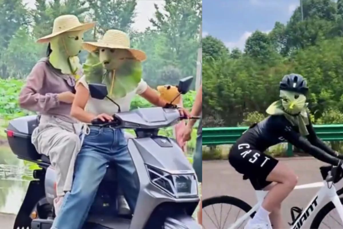 La tendencia de usar hojas de loto como protector solar resurge en TikTok este 2026, pero expertos advierten que practicar agujeros para los ojos reduce peligrosamente la visibilidad y aumenta el riesgo de accidentes viales