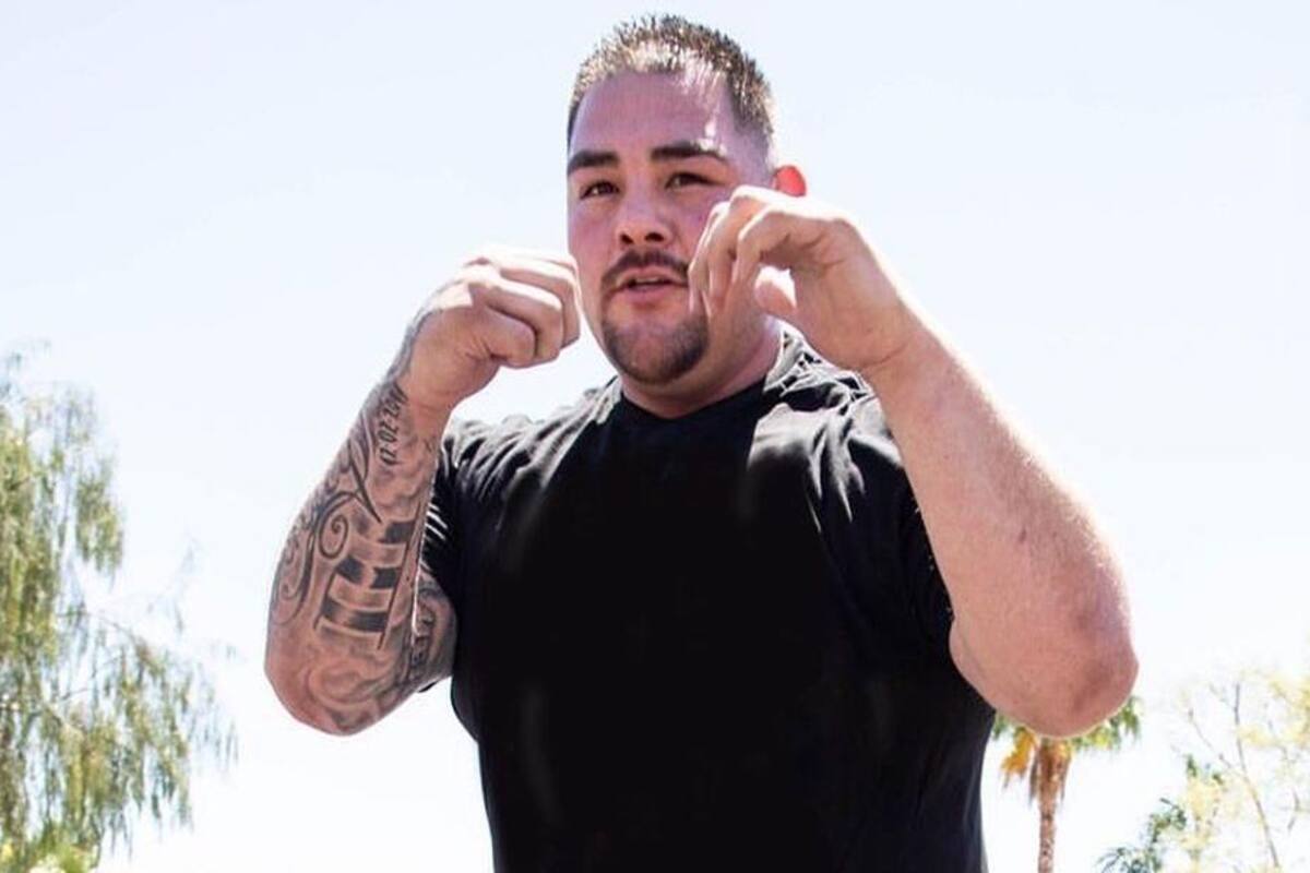 Andy Ruiz Jr. regresaría a finales del año contra el experimentado Chris Arreola