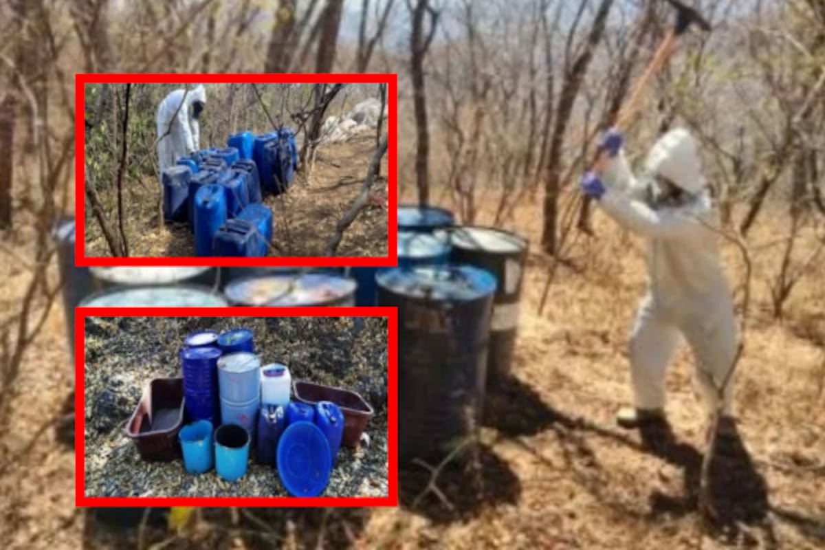 Aseguran 13 laboratorios clandestinos en Culiacán y Cosalá