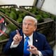 EEUU frena inspecciones de aguacate mexicano