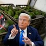 El aguacate de Michoacán no puede exportarse a Estados Unidos sin una revisión sanitaria en México, una condición que convierte la presencia de inspectores en la llave para mantener abiertos los envíos