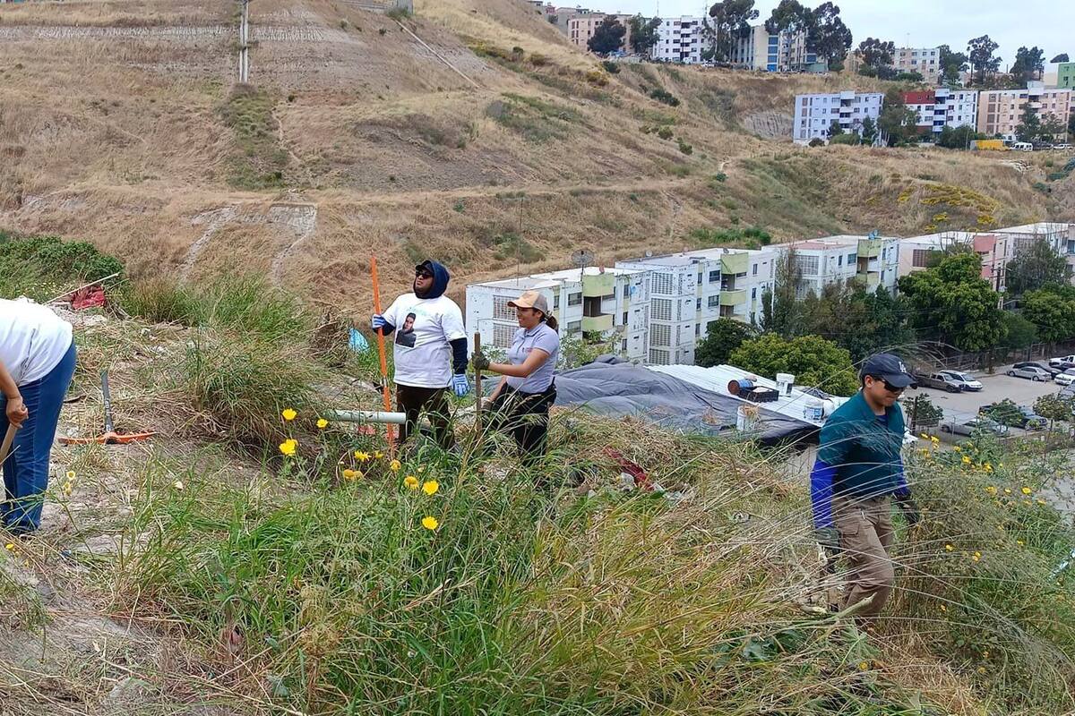 Encuentra colectivo cuatro cuerpos en fosa clandestina