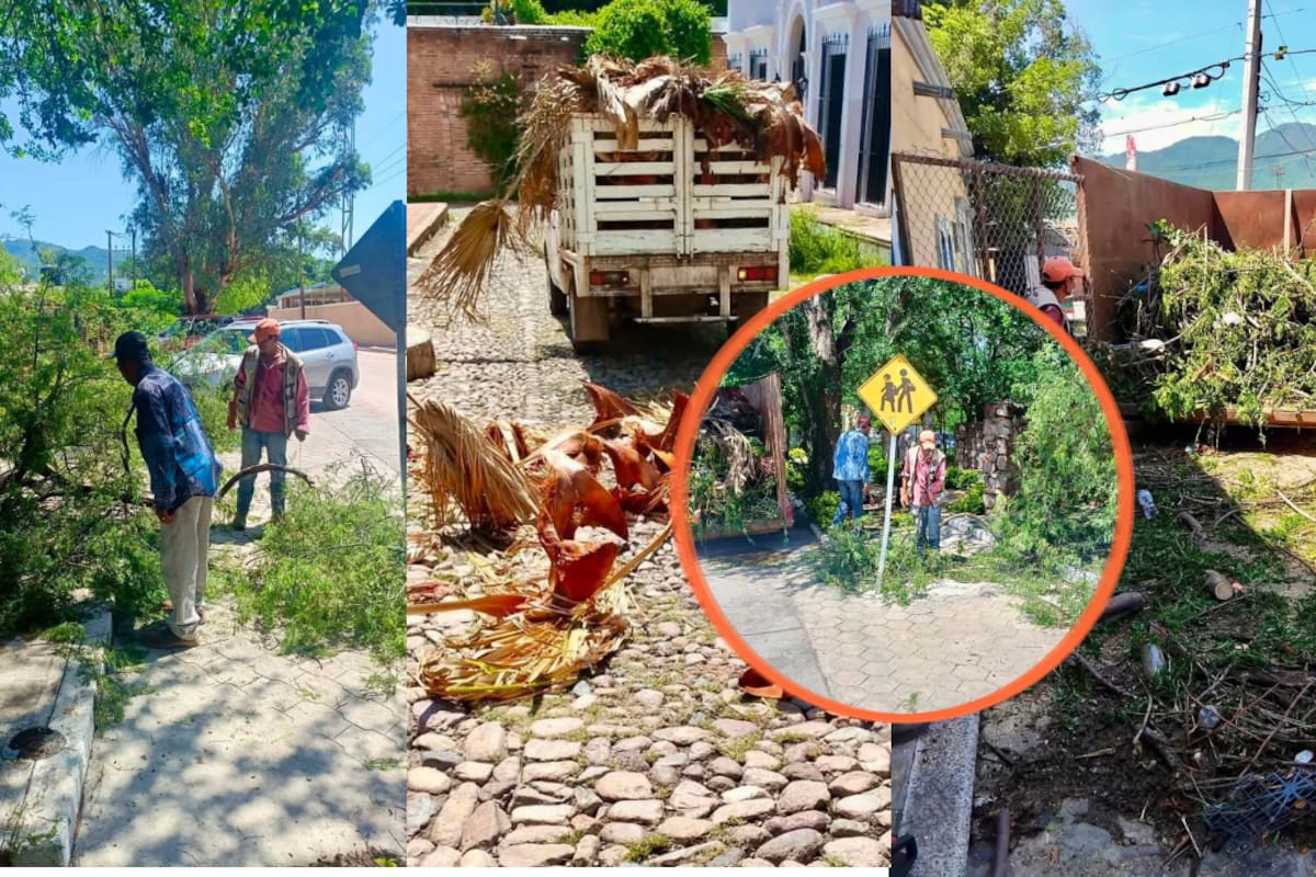 Lluvias dejan árboles caídos y escombros en Álamos; mantienen limpieza de calles ante nuevos pronósticos para el sur de Sonora