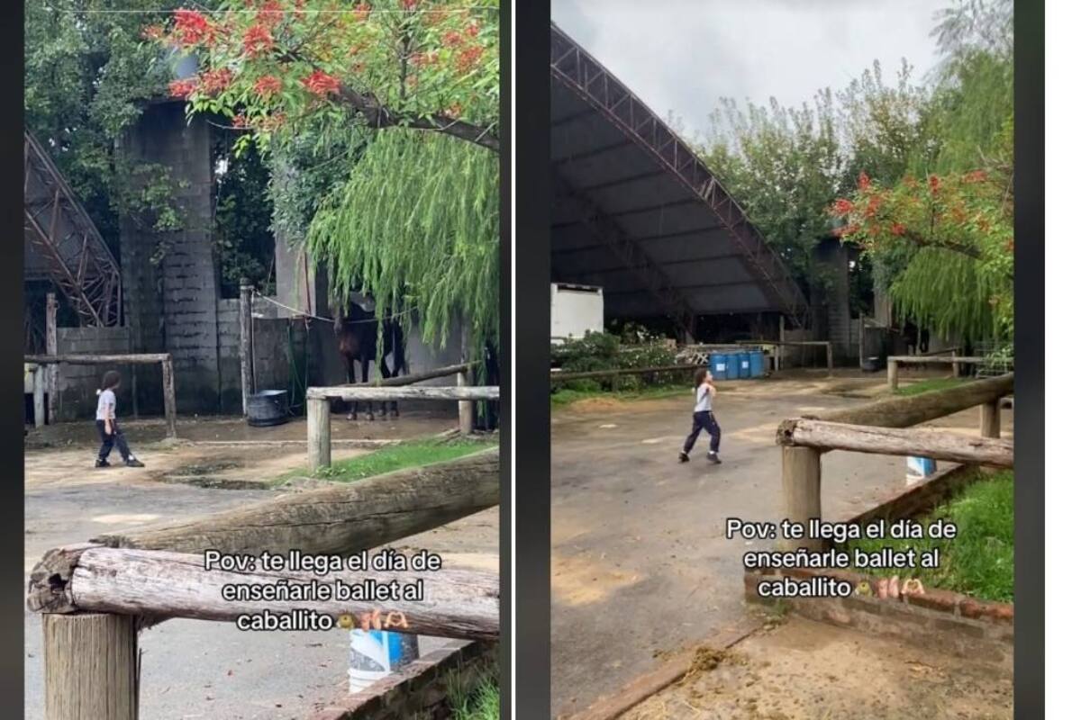Niña enseña clases de ballet a su caballo