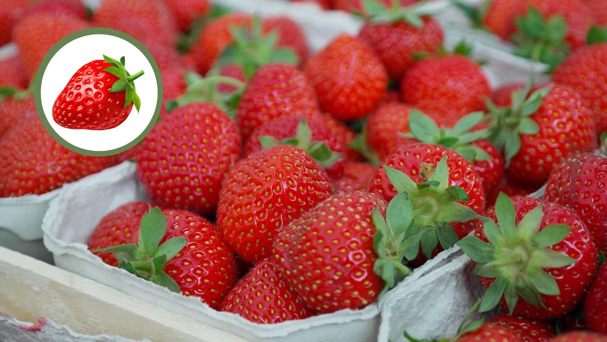 La clave no está solo en dónde guardarlas, sino en cómo tratarlas antes de refrigerarlas. Foto: Pixabay/Canva