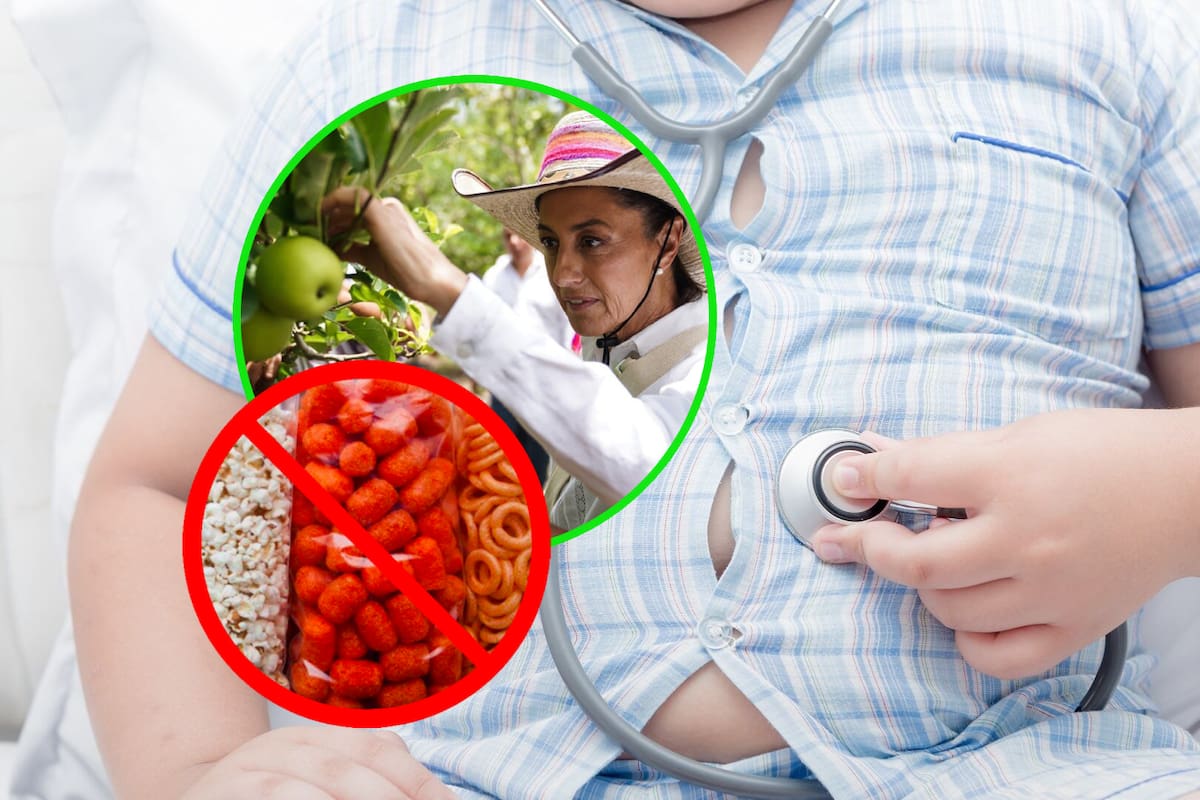 Cómo saber si tu hijo tiene obesidad o problemas de nutrición calculando el IMC; personal de salud pesará a niños en escuelas luego de que la SEP y Sheinbaum prohibieran la comida chatarra