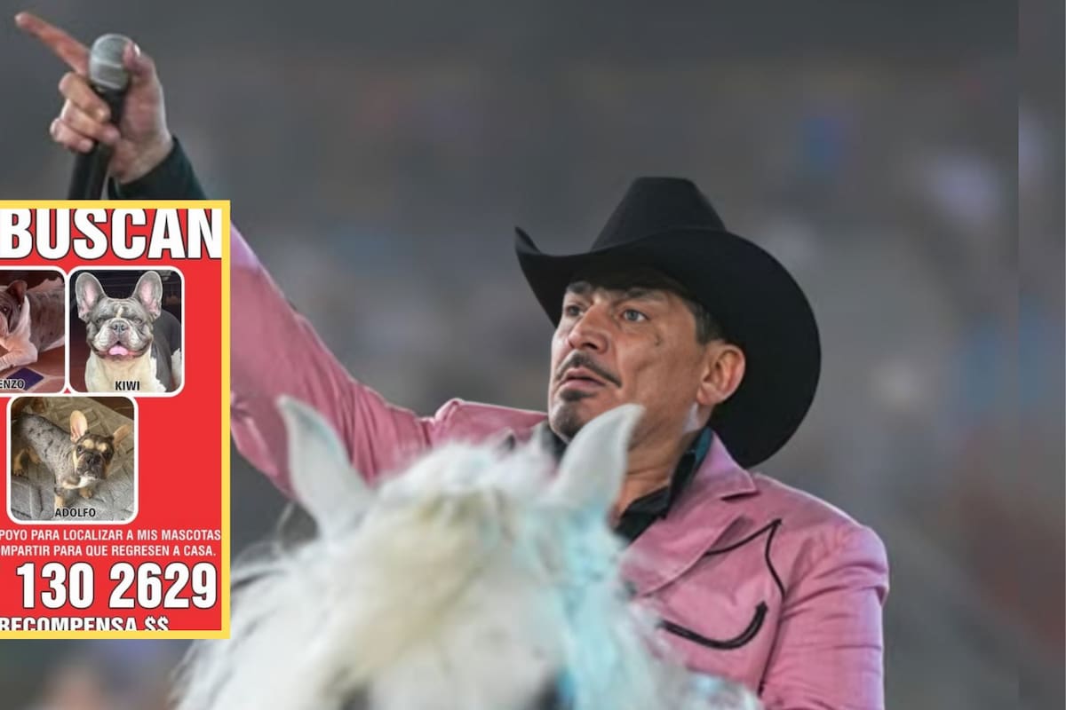 José Manuel Figueroa ofrece fuerte suma como recompensa para quien ayude a encontrar a sus tres perritos desaparecidos en Cuernavaca