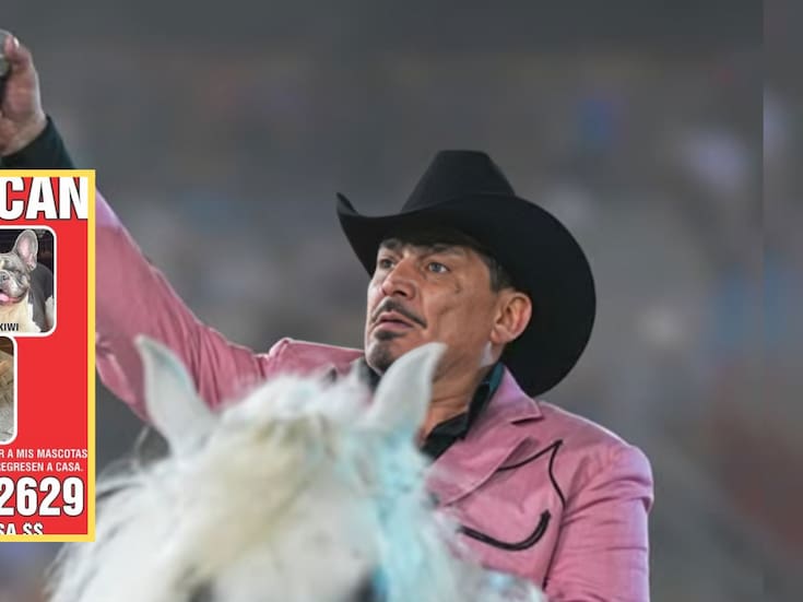 José Manuel Figueroa ofrece fuerte suma como recompensa para quien ayude a encontrar a sus tres perritos desaparecidos en Cuernavaca