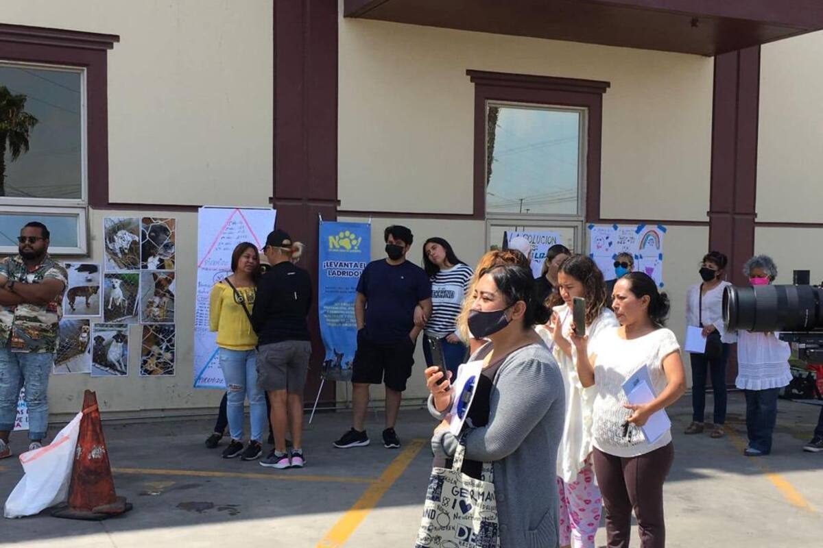 Se manifestaron organizaciones protectoras de animales en Rosarito