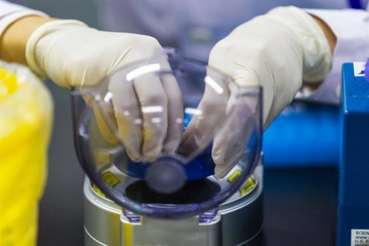 Desarrollan modelo matemático para ver cómo interactúan los genes
