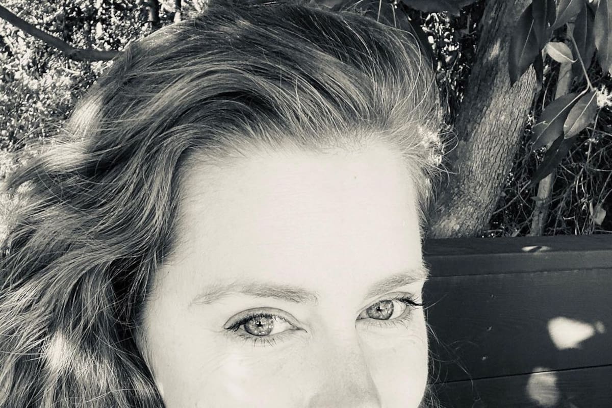 Amy Adams y Jake Gyllenhaal protagonizarán la adaptación fílmica del libro "Finding the mother tree"