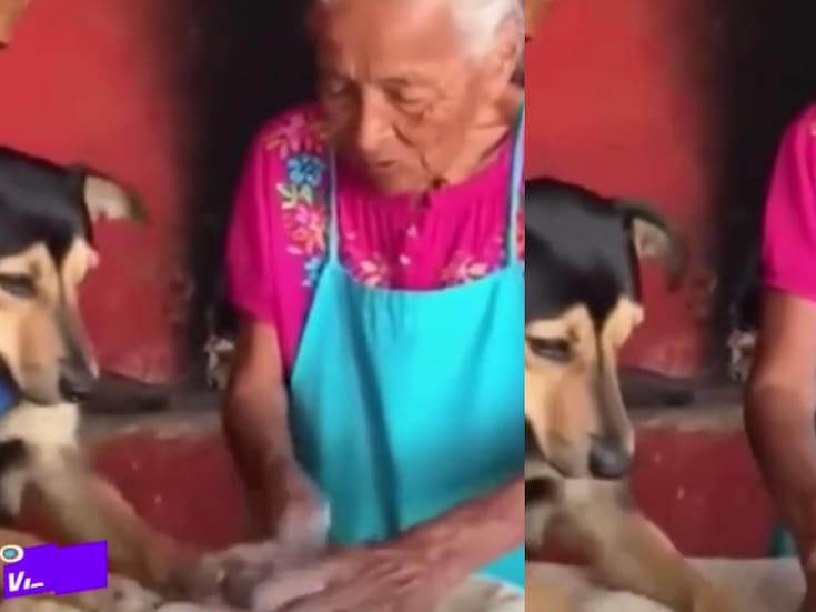 ¿Es IA o es real?: perrito panadero y su dueña se vuelven virales en redes sociales