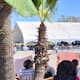 Sin incidentes, se desarrolla acto de entrega de apoyos en Parque Morelos