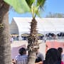 Sin incidentes, se desarrolla acto de entrega de apoyos en Parque Morelos