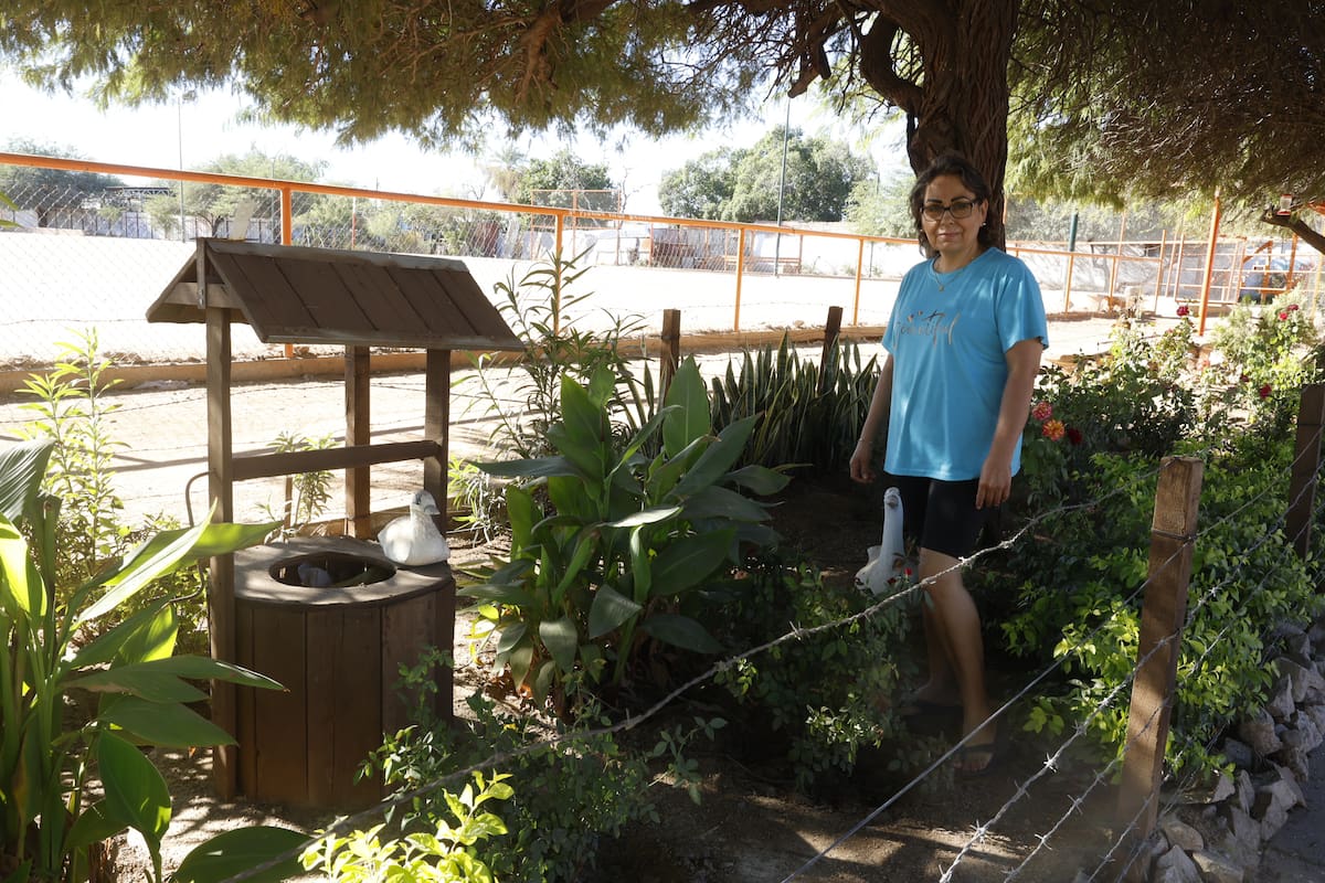 De basura a jardín: vecina transforma área abandonada del Parque La Antena en Hermosillo en un espacio floreciente