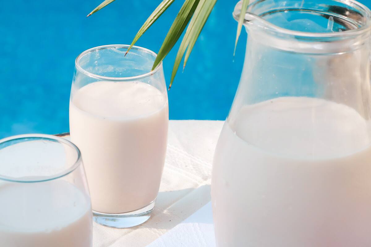 Estos son los beneficios para la salud de tomar horchata, según nuevos estudios