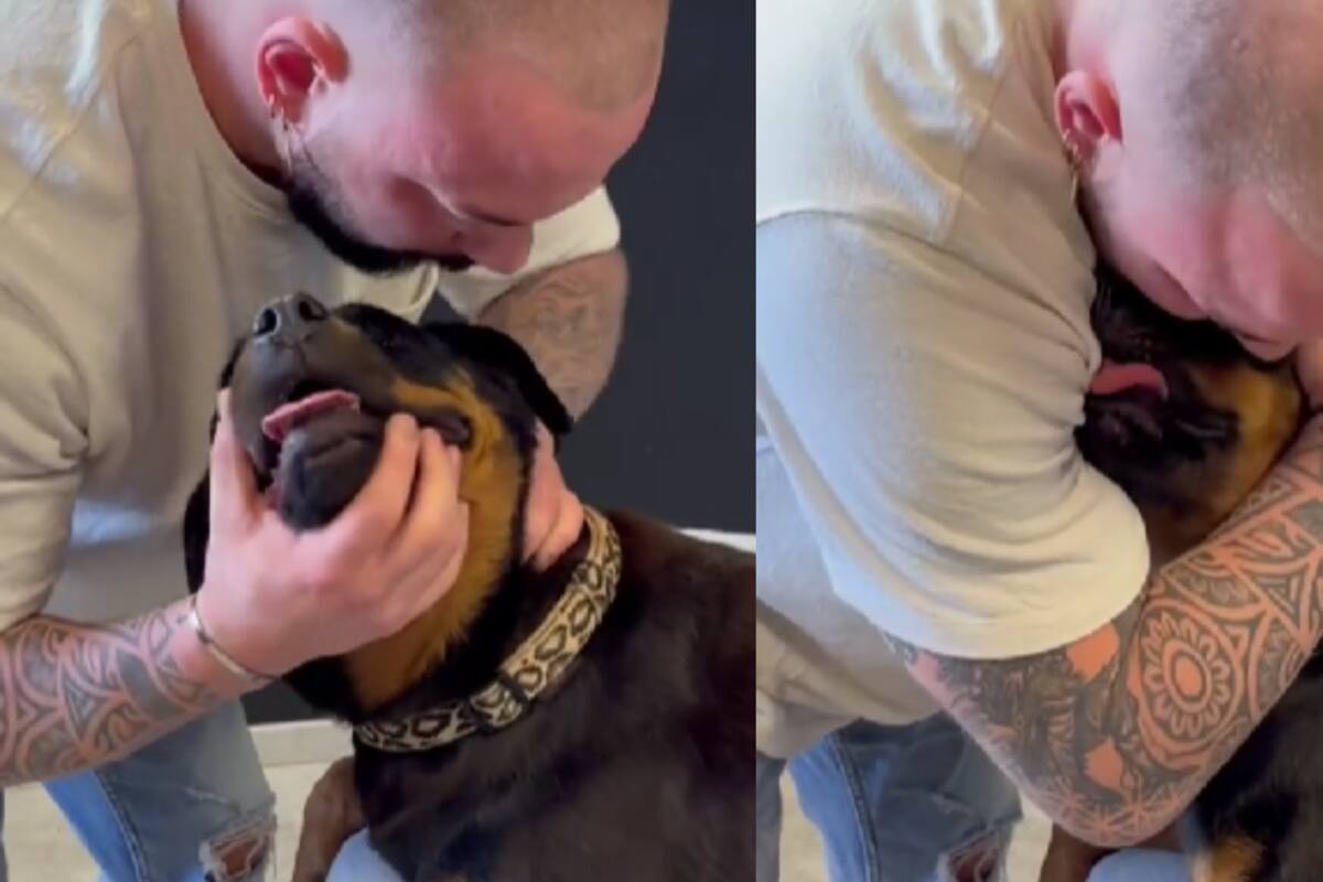 Hombre quiropráctico de animales sorprende a todos con su efectividad