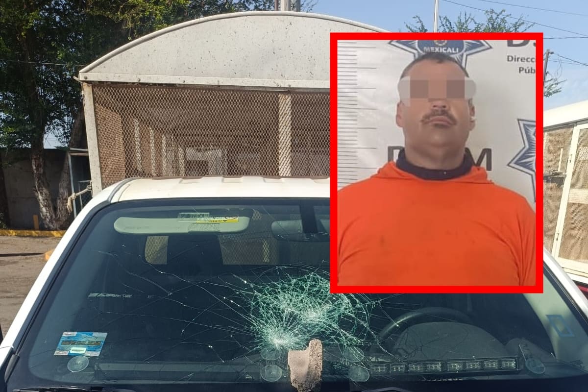 Lo detienen por destrozar parabrisas de unidad de control animal