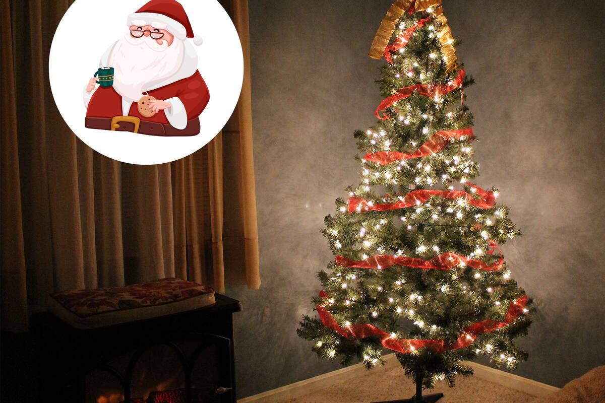 ¿Árbol de navidad natural o artificial? Lo que dicen los expertos sobre la contaminación que dejan
