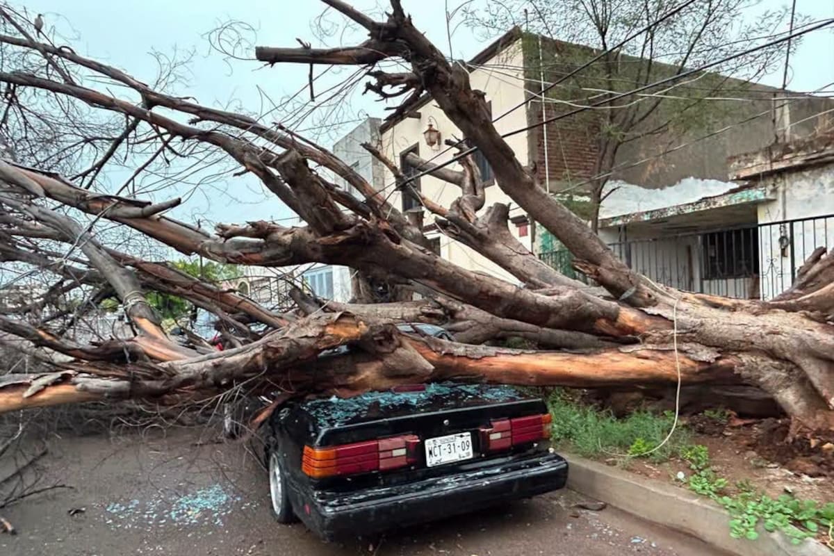 Provocan lluvias afectaciones en distintos sectores de Ciudad Obregón