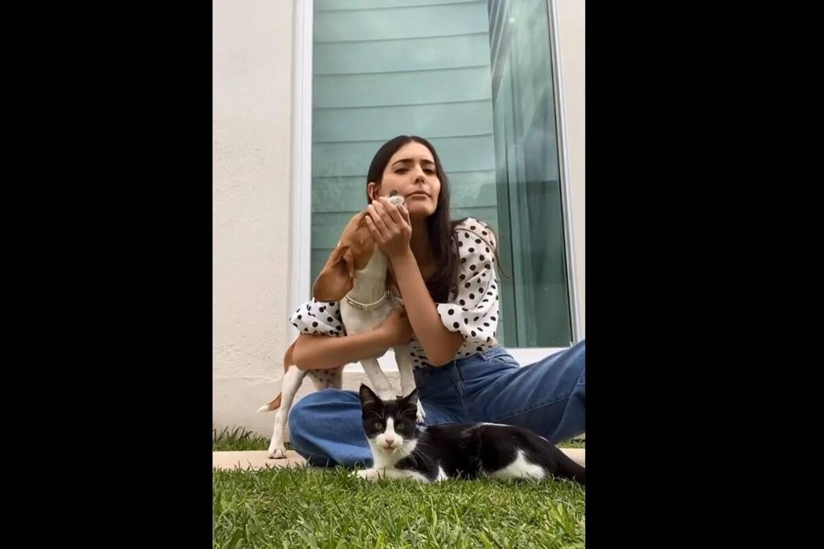 VIDEO TIKTOK: Mujer se da cuenta que su perrita juega con gato callejero y lo adopta