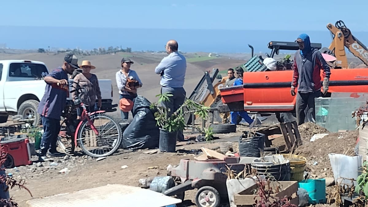Terreno recuperado por el ayuntamiento | Foto: Cortesía