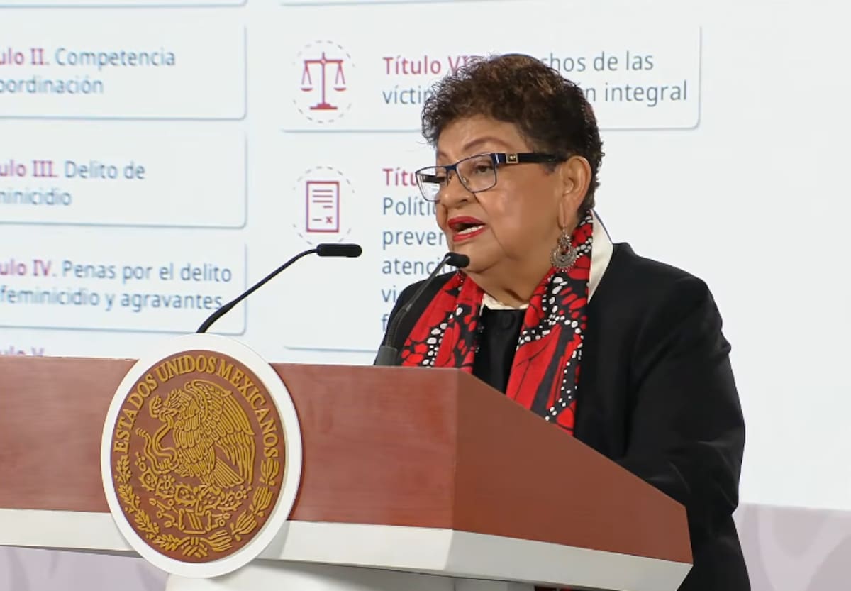 Ernestina Godoy, explicó que la iniciativa propone penas de entre 40 y 70 años de prisión. | Foto: Captura de pantalla