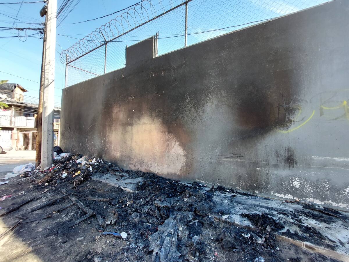 Cientos de casas en Camino Verde están rodeadas de maleza, así como por árboles y palmeras, cuyas ramas están al ras del cableado del alumbrado público.