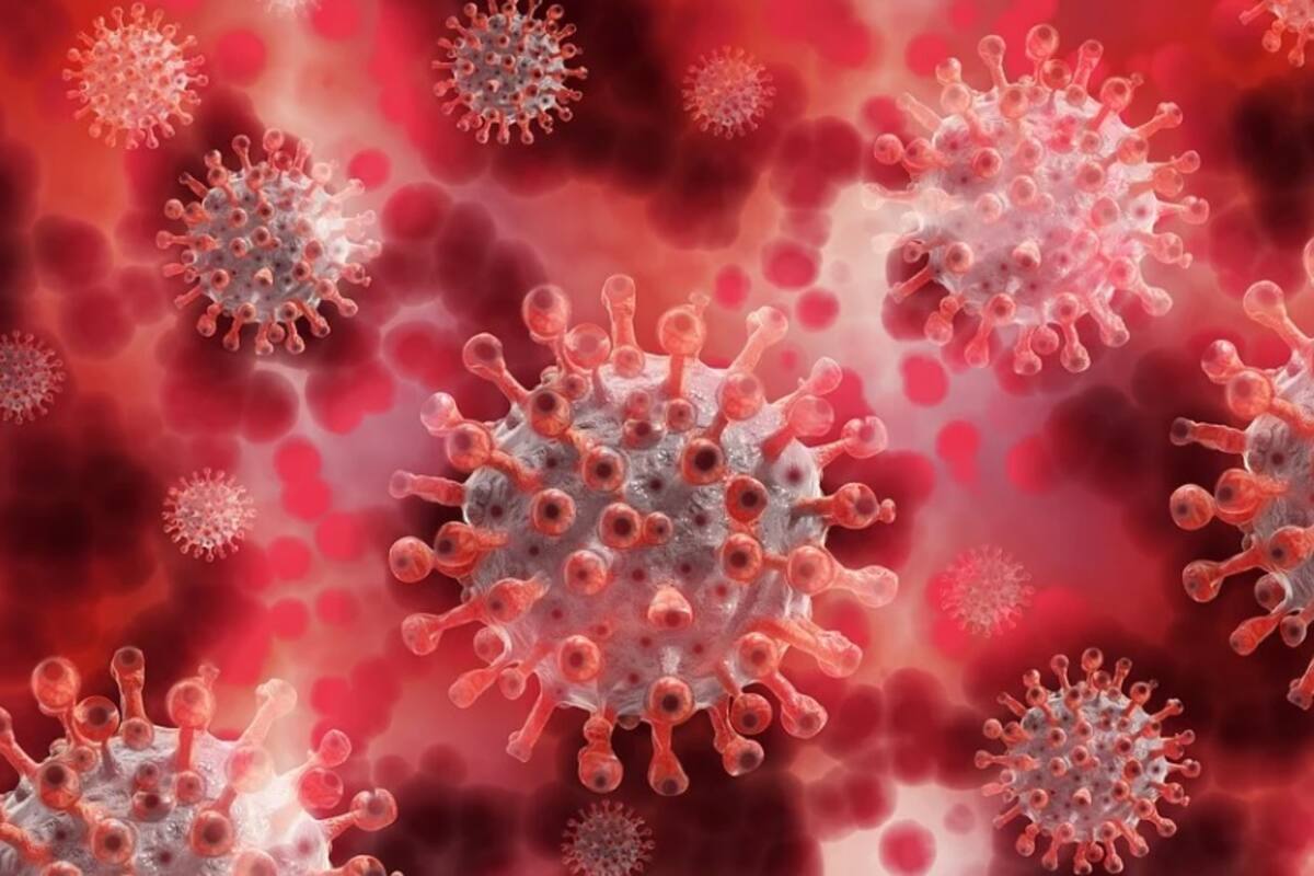 Conferencia Salud Sonora sobre coronavirus pasadas las 20:30 horas