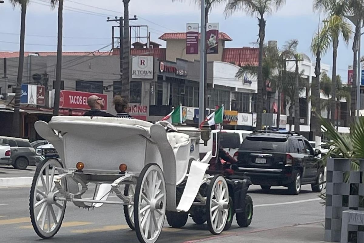 Baja interés en calandrias sin caballos en Rosarito
