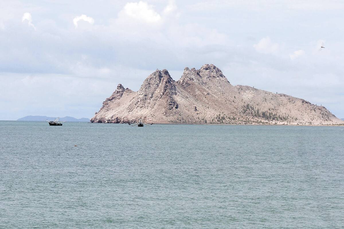 Iba a la Isla de Alcatraz y una ola lo volcó, estuvo desaparecido dos horas